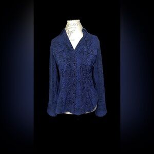 Express Blue Button Down Shirt